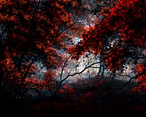 Preview wallpaper trees, autumn, forest, bike, art