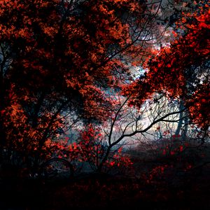 Preview wallpaper trees, autumn, forest, bike, art
