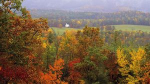 Preview wallpaper trees, autumn, grass, distance