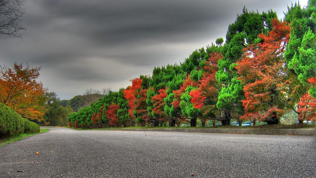 Wallpaper trees, autumn, green, red, alternation, expensive