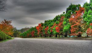 Preview wallpaper trees, autumn, green, red, alternation, expensive