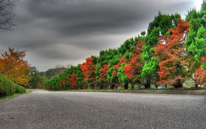 Preview wallpaper trees, autumn, green, red, alternation, expensive
