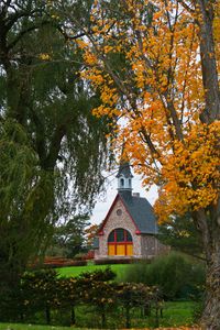 Preview wallpaper trees, autumn, house, tower, lawn