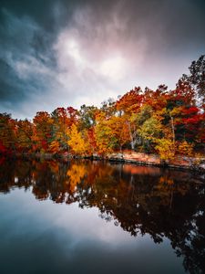 Preview wallpaper trees, autumn, lake, reflection, autumn colors