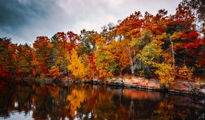Preview wallpaper trees, autumn, lake, reflection, autumn colors
