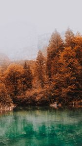 Preview wallpaper trees, autumn, lake, fog, water