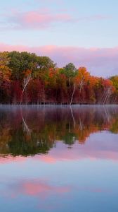 Preview wallpaper trees, autumn, lake, reflection