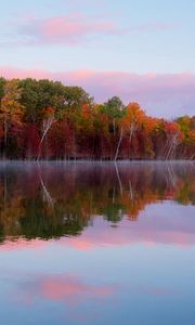 Preview wallpaper trees, autumn, lake, reflection