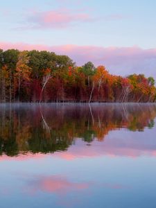 Preview wallpaper trees, autumn, lake, reflection