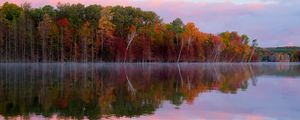 Preview wallpaper trees, autumn, lake, reflection