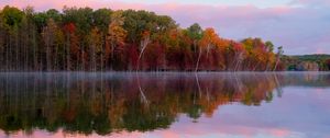 Preview wallpaper trees, autumn, lake, reflection