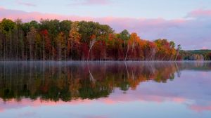 Preview wallpaper trees, autumn, lake, reflection
