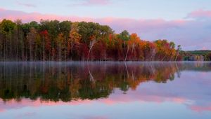 Preview wallpaper trees, autumn, lake, reflection