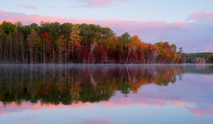 Preview wallpaper trees, autumn, lake, reflection