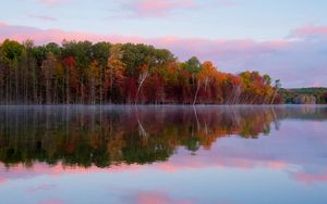 Preview wallpaper trees, autumn, lake, reflection