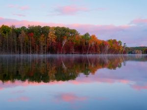 Preview wallpaper trees, autumn, lake, reflection