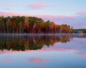 Preview wallpaper trees, autumn, lake, reflection