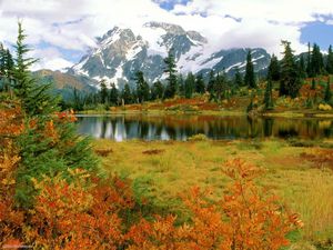 Preview wallpaper trees, autumn, lake, distance, light