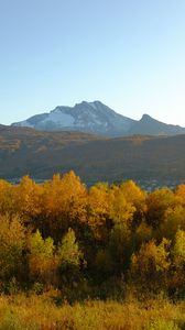 Preview wallpaper trees, autumn, mountains, nature