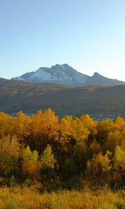 Preview wallpaper trees, autumn, mountains, nature