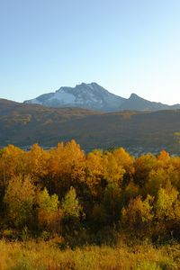 Preview wallpaper trees, autumn, mountains, nature