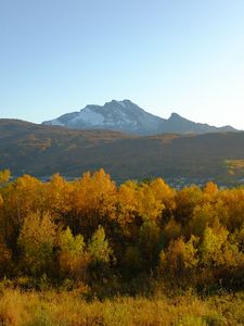 Preview wallpaper trees, autumn, mountains, nature
