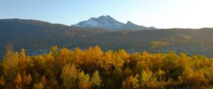 Preview wallpaper trees, autumn, mountains, nature
