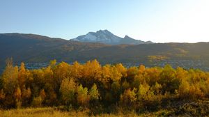 Preview wallpaper trees, autumn, mountains, nature