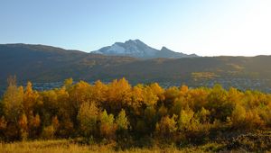 Preview wallpaper trees, autumn, mountains, nature