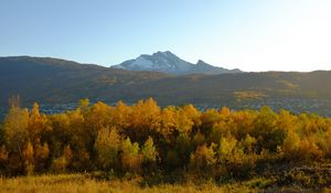 Preview wallpaper trees, autumn, mountains, nature
