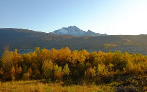 Preview wallpaper trees, autumn, mountains, nature