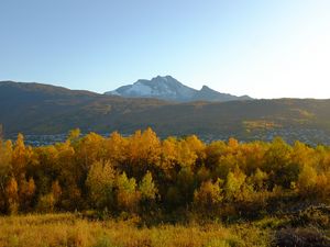 Preview wallpaper trees, autumn, mountains, nature