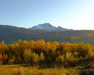 Preview wallpaper trees, autumn, mountains, nature