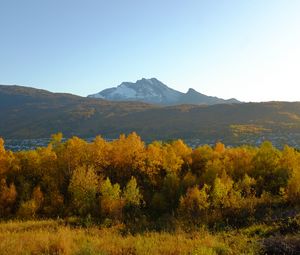 Preview wallpaper trees, autumn, mountains, nature