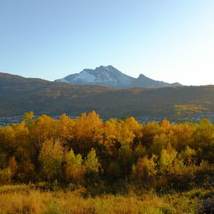 Preview wallpaper trees, autumn, mountains, nature