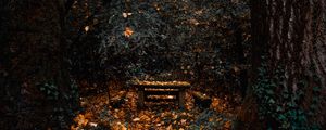 Preview wallpaper trees, autumn, nature, forest, foliage
