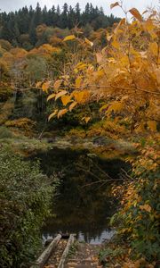 Preview wallpaper trees, autumn, pond, landscape, nature