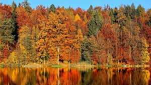 Preview wallpaper trees, autumn, river, reflection