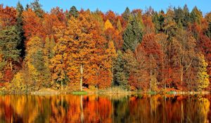 Preview wallpaper trees, autumn, river, reflection