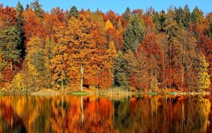 Preview wallpaper trees, autumn, river, reflection