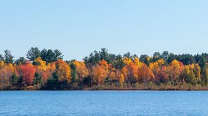 Preview wallpaper trees, autumn, river, sky