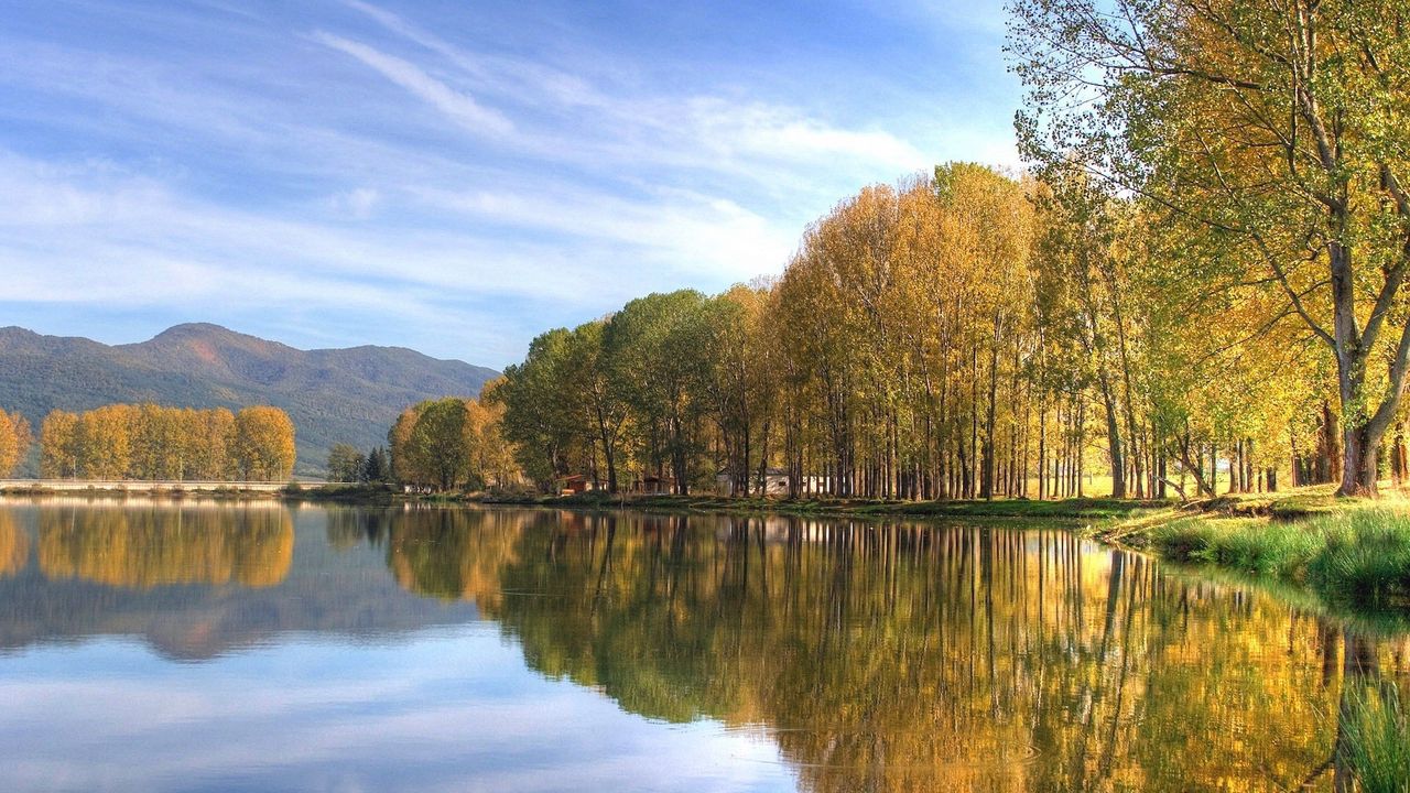 Wallpaper trees, autumn, river