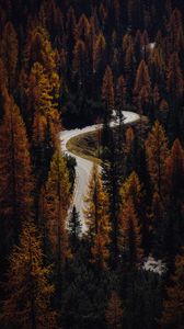 Preview wallpaper trees, autumn, road, aerial view, forest