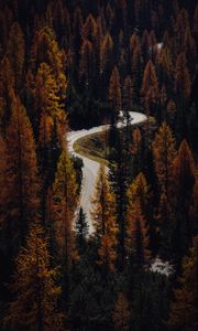 Preview wallpaper trees, autumn, road, aerial view, forest