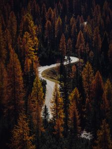 Preview wallpaper trees, autumn, road, aerial view, forest