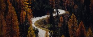 Preview wallpaper trees, autumn, road, aerial view, forest