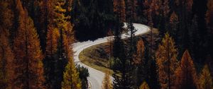 Preview wallpaper trees, autumn, road, aerial view, forest