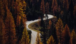 Preview wallpaper trees, autumn, road, aerial view, forest