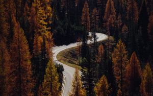 Preview wallpaper trees, autumn, road, aerial view, forest