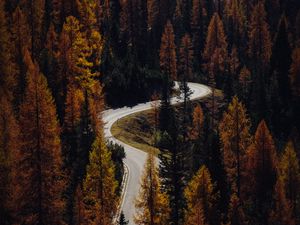 Preview wallpaper trees, autumn, road, aerial view, forest